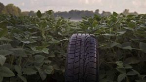 Goodyear usa arroz e soja para produzir pneus mais amigáveis ao meio ambiente