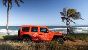 Jeep reforça apoio ao Projeto Tamar com renovação de frota de veículos